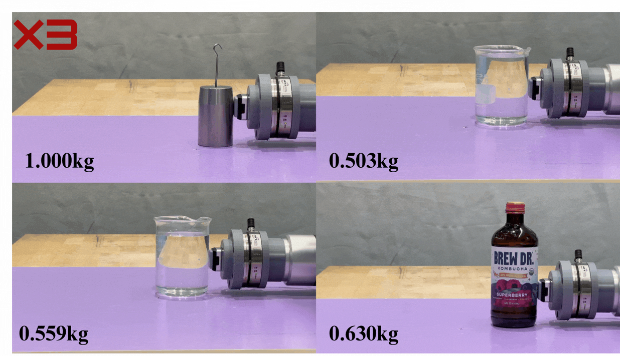 Object Weighting Demo